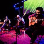 Maharajah Flamenco Trio in Concert